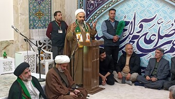 استاد حوزه و دانشگاه: پرچم رضوی نماد حیات طیبه و مقاومت ملت ایران است