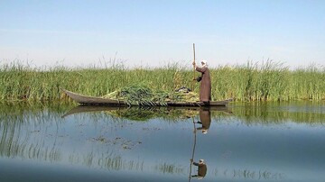 wetlands