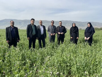 افزایش عملکرد محصولات کشاورزی در اراضی دیم لرستان با ترویج دانش فنی