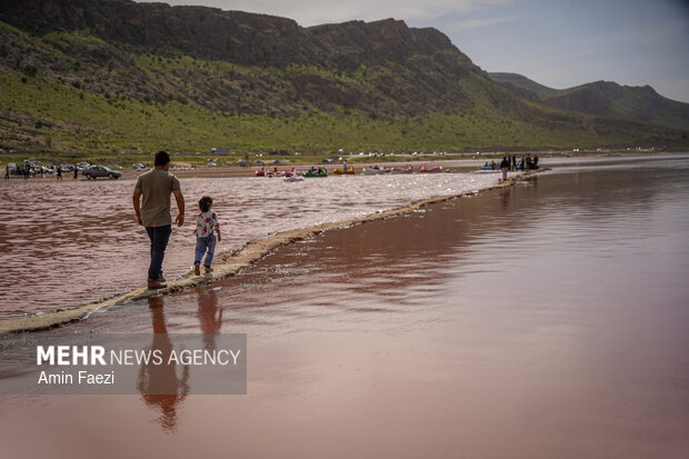 دریاچه صورتی رنگ مهارلو شیراز