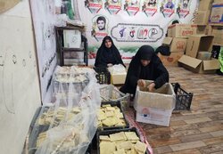 برپایی ۶۵ موکب خدمت‌رسانی توسط گروه‌های جهادی بسیج سازندگی دشتی
