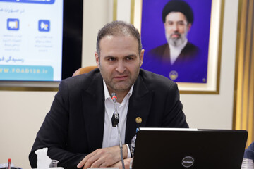 داودی: سامانه «فواد» مشکلات فوری اداری را زیر ۳ ساعت پیگیری می‌کند