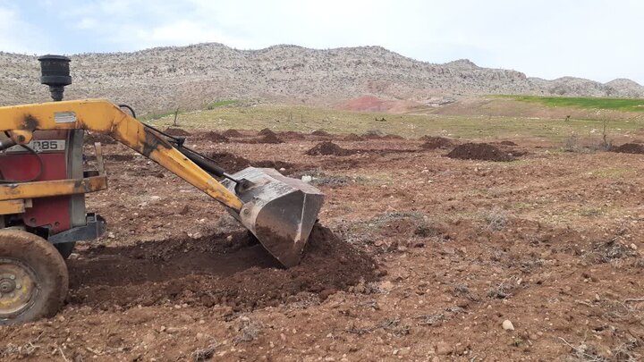 تاسه: ۲۷ هزار مترمربع از اراضی ملی اسلام‌آبادغرب رفع تصرف شد