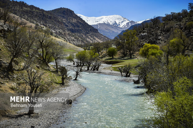طبیعت زیبای شول آباد لرستان