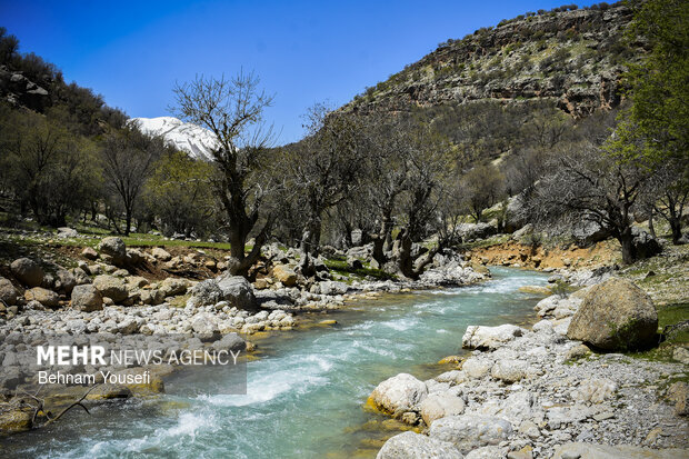 طبیعت زیبای شول آباد لرستان