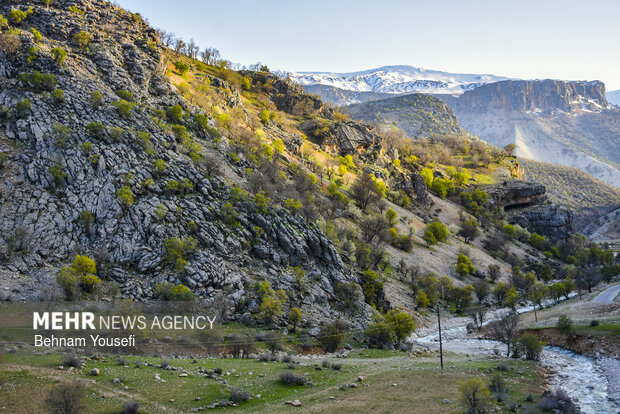 طبیعت زیبای شول آباد لرستان