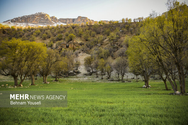 طبیعت زیبای شول آباد لرستان