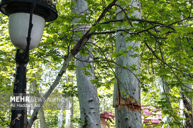 بازدید اصحاب رسانه از خسارات برجا مانده از جنگ رمضان در کاخ سعدآباد