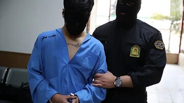 دستگیری عامل مرتبط با رسانه های بیگانه در شهرستان انار