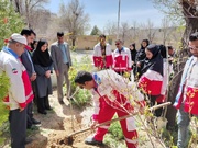 کاشت ۹ هزار و ۹۲۱ اصله نهال در چهارمحال و بختیاری