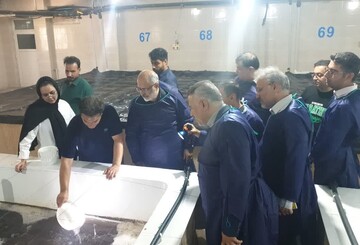 مدیرکل بازرسی بوشهر: فعالیت های آبزی پروری با تکیه بر دانش توسعه یابد