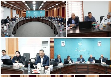 امینی: جایگاه استان بوشهر در تولید میگوی پرورشی کشور  تقویت می شود