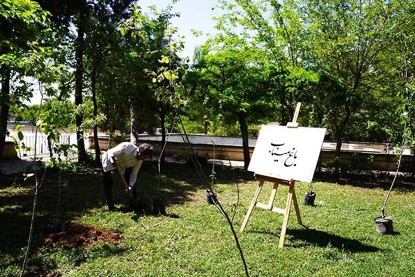 ۱۶۸ نهال مثمر به یاد شهدای میناب کاشته شد