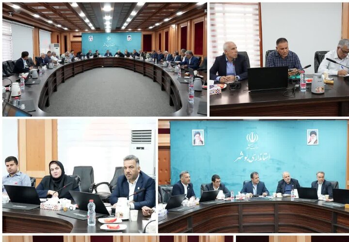 امینی: جایگاه استان بوشهر در تولید میگوی پرورشی کشور تقویت می شود امینی: جایگاه استان بوشهر در تولید میگوی پرورشی کشور تقویت می شود