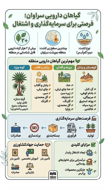 اینفوگرافیک؛ ظرفیت کم نظیر گیاهان دارویی در سراوان