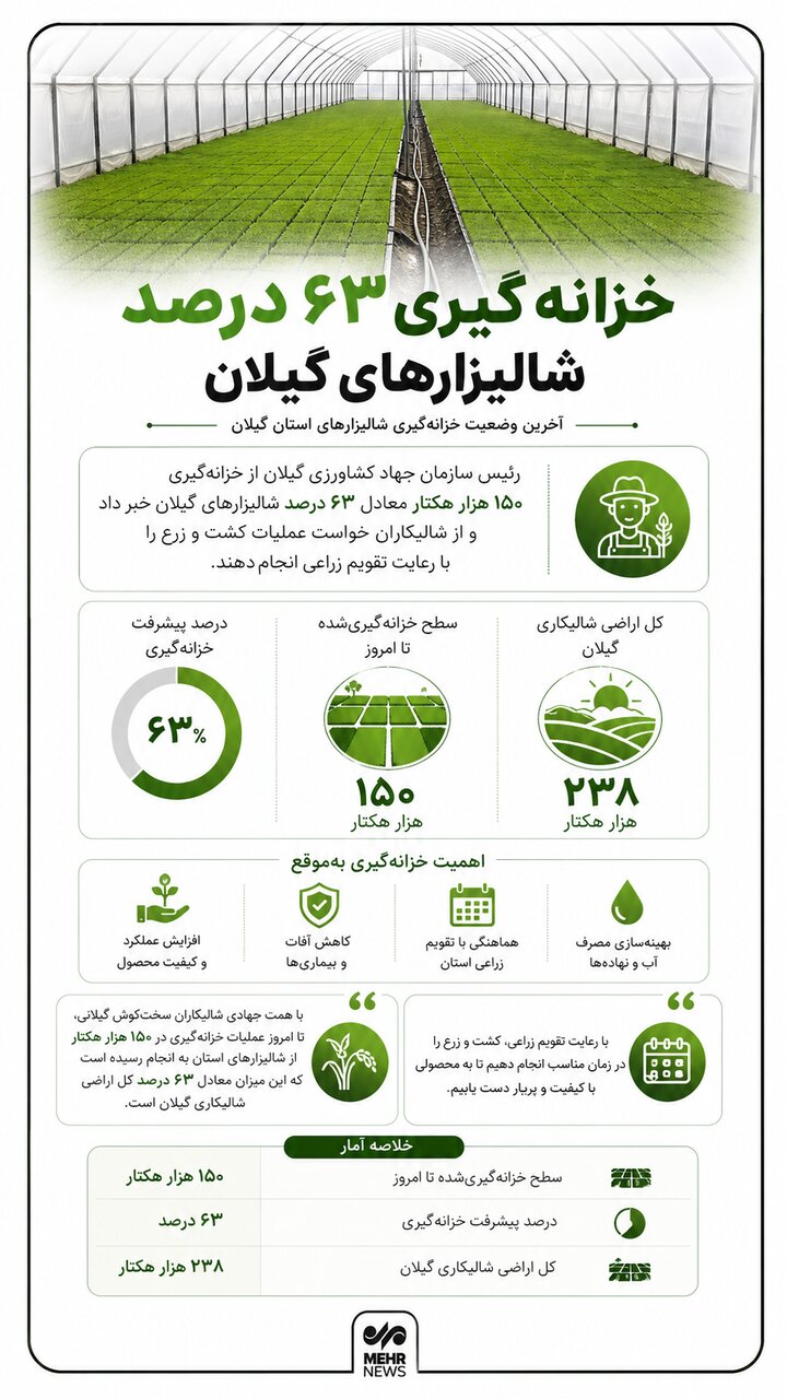 اینفوگرافیک؛ خزانه گیری ۶۳ درصد شالیزارهای گیلان