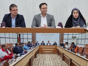 فرماندار تنگستان: ساماندهی محورهای حادثه‌خیز در اولویت است
