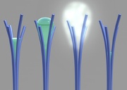 محققان ایرانی پاکسازی آلاینده های آب را ارتقا دادند