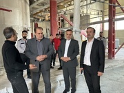 حسینی: مصوبات حمایتی تولید به صورت هفتگی رصد می‌شود