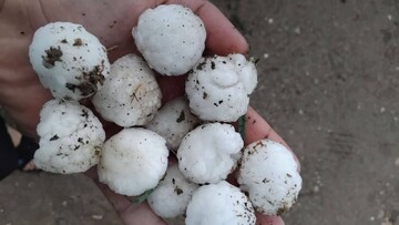 بارش تگرگ دانه درشت در نورآباد و چگنی+ عکس