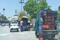 بی‌نظمی شهری در دوگنبدان؛از دکه‌های بدون مجوز تا تسخیر خیابان با وانت