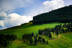 طبیعت شمال ایران