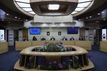 جزئیات جلسه کمیسیون بهداشت با ظفرقندی؛ ضرورت نظارت بر قیمت دارو