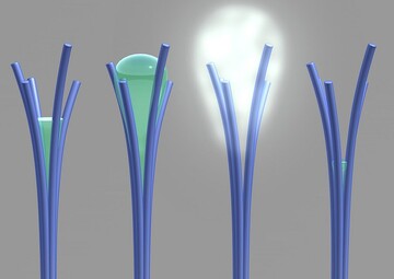 محققان ایرانی پاکسازی آلاینده های آب را ارتقا دادند