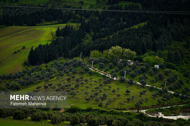 طبیعت شمال ایران