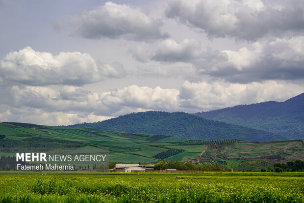 طبیعت شمال ایران