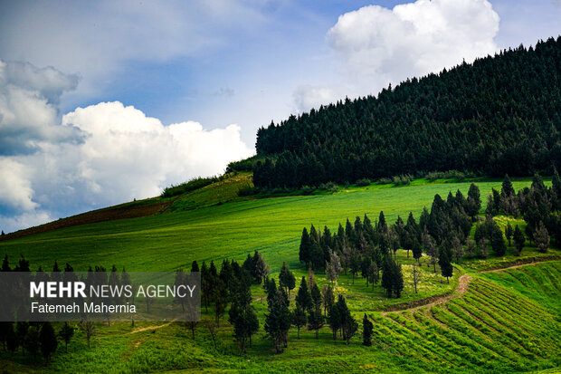 طبیعت شمال ایران
