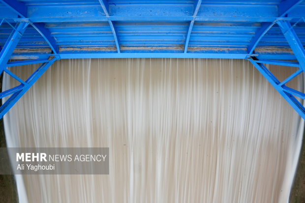 رهاسازی اب سد سفیدرود