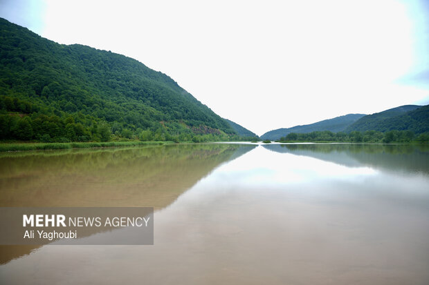 رهاسازی اب سد سفیدرود