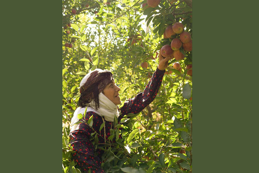 پخش سریال «مادران» جمعه شب‌ها از شبکه یک سیما