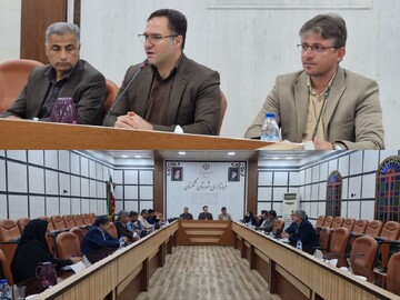 فرماندار تنگستان: دستگاه‌های اجرایی تعهدات اشتغال را ثبت کنند