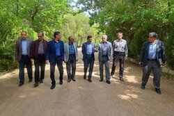 ۱۵ میلیون اصله نهال در پویش «سرو ایران» کاشته شد؛ گامی به سوی سرسبزی