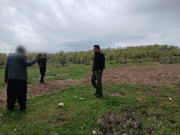 زمین‌خواران در منابع طبیعی کرمانشاه زمین‌گیر شدند