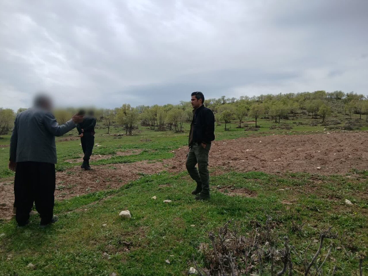 زمین‌خواران در منابع طبیعی کرمانشاه زمین‌گیر شدند