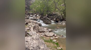 منطقه زیبای گردشگری کاوند درویشان در شهرستان اردل