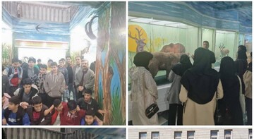 زندی: موزه تنوع زیستی به پایگاه آموزش محیط‌زیستی تبدیل شده است