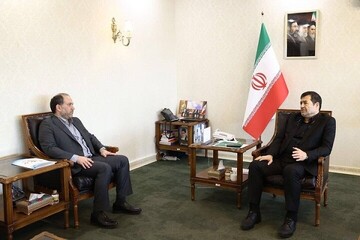 تشریح برنامه‌های فدراسیون انجمن‌های ورزشی در دیدار با وزیر ورزش