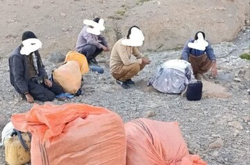 کشف و دستگیری سودجویان گیاهان دارویی در شیرکوه تفت
