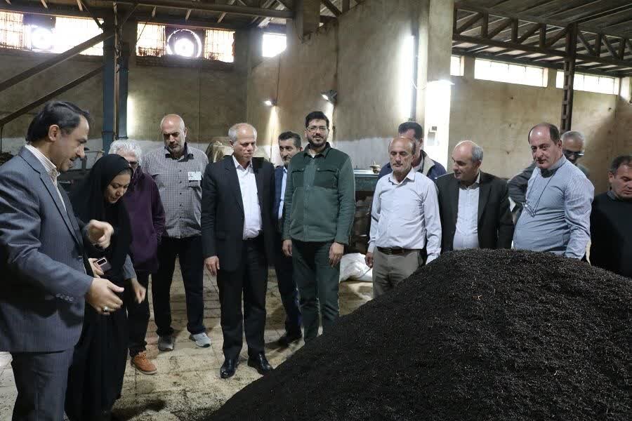 پیش بینی تولید ۱۱ هزار تن برگ سبز چای در شفت