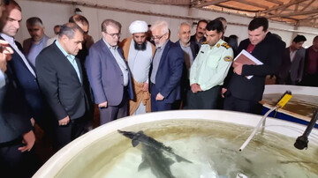 دادگستری مازندران از سرمایه‌گذاران حمایت می‌کند