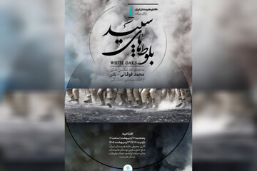 عکس‌های «اتاقک گلی» در نمایشگاه محیطی خانه هنرمندان