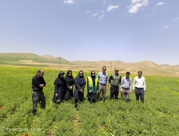 اجرای طرح «مزارع الگویی» در لرستان