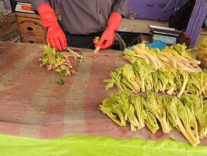 &nbsp;«کلوس»؛ گیاه گران‌بهای برف‌زاد چهارمحال‌وبختیاری
