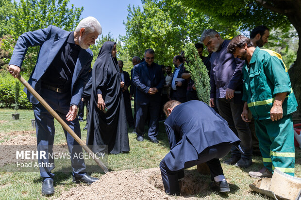 Planting seedlings in Laleh Parkland in Tehran
