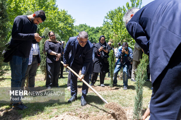 Planting seedlings in Laleh Parkland in Tehran
