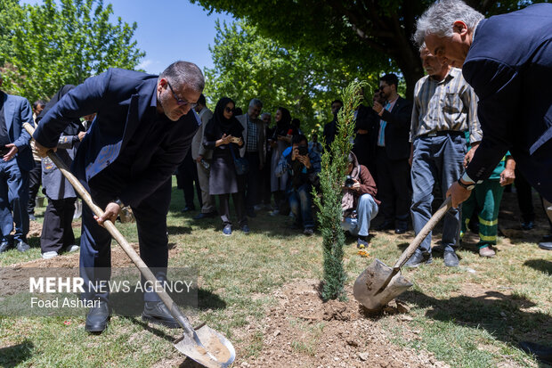Planting seedlings in Laleh Parkland in Tehran
